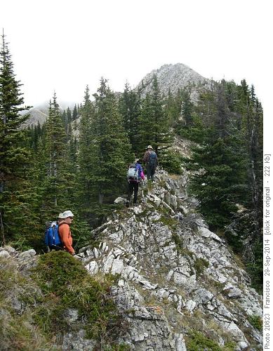 Near the summit