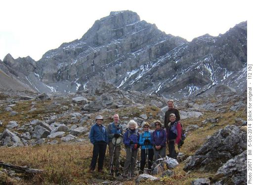 The group in the meadows