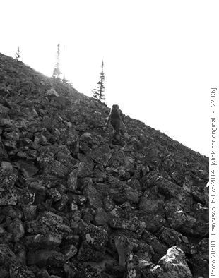 Steep boulder slope