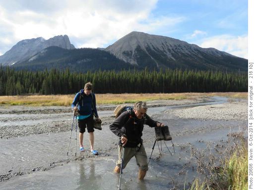 Wading Smuts Creek at the end of a great day