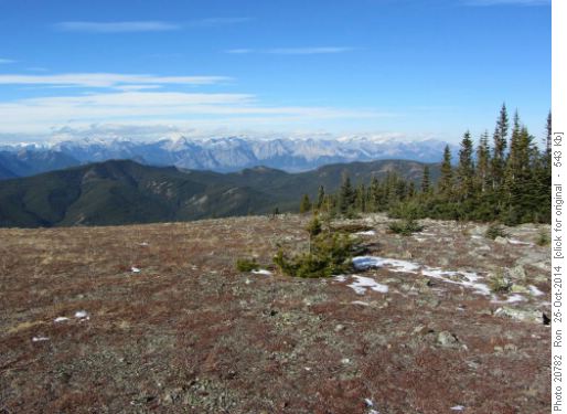 View northwest from Cox Hill