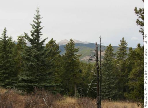 A bare Moose Mountain viewed from the Ranger Summit trail