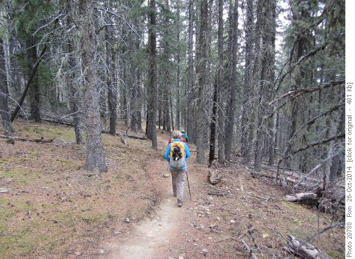 Heading down Strange Brew trail