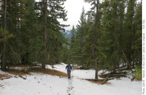 Easy Trail down the West Ridge