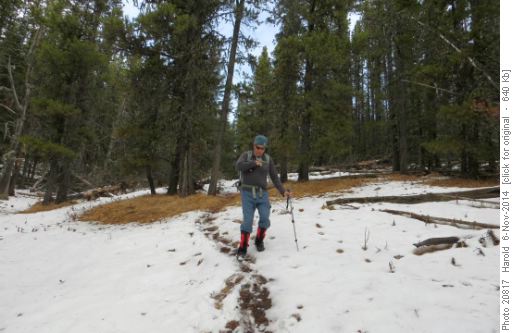 West Ridge Trail