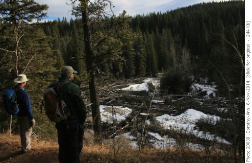 Dave & Tom look at debris left by 2013 flood