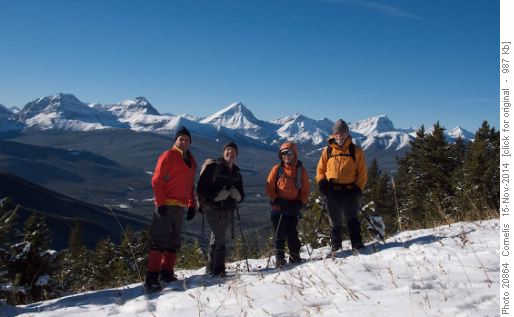 Cornelis, Brian, Sim and John on the Cat Ck Hills Ridge