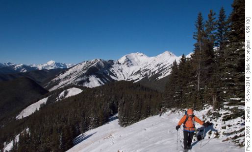 Sim approaching Cat Ck Hills' Summit (2220m), The Highwood Range in the background, Mist Mountain in the far distance to the left (3138m)