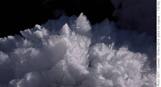 Hoar Frost on Cat Ck Hills Ridge