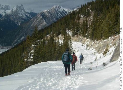 Road down Sulphur Mtn.