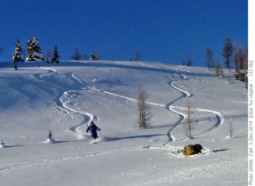 Bill making nice turns, unidentified skier checking out snow crystal structure