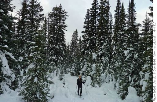 Good Snow And Trail Conditions