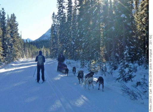 Some different traffic on the trail