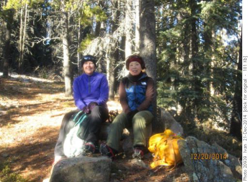 Strange Brew/Teresa,Yoko/