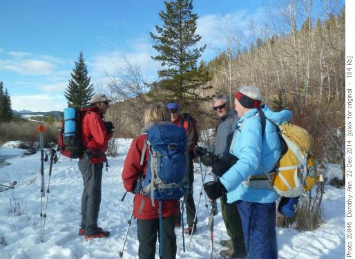 Decision-making discussion