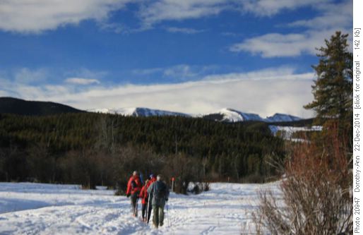 Decision made. Heading west on trail