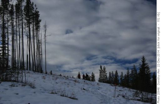 Climbing through the first cut block