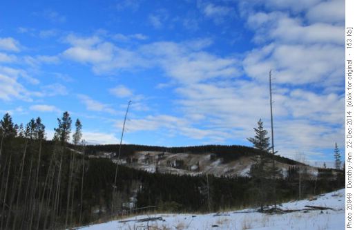 Cut blocks to the north