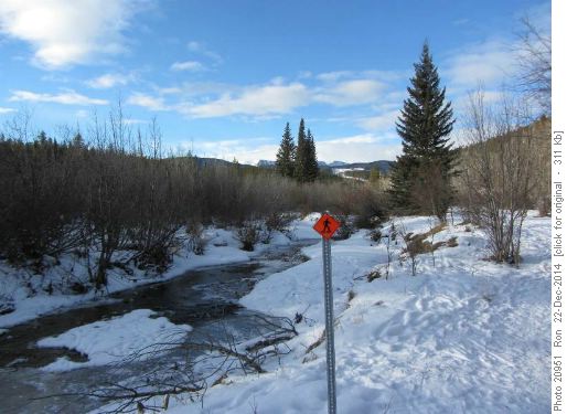 Snowy Owl snowshoe trail, along the creek, West Bragg