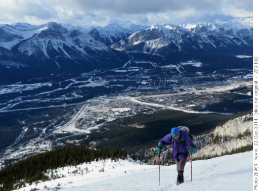 David above the treeline on Grotto