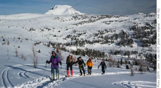 On the uptrack above Bourgeau meadows {212 Dav Mull}, {471 Man Cze}, {256 Arn Wes}, {532 John Duer} and {1703 Jean-Mich Long}