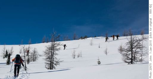 Scattered larch above Bourgeau meadows