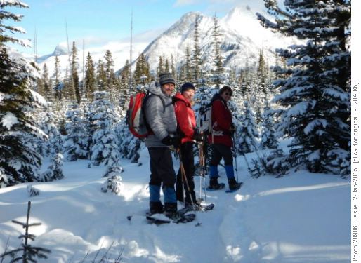 Return from Shark Lake