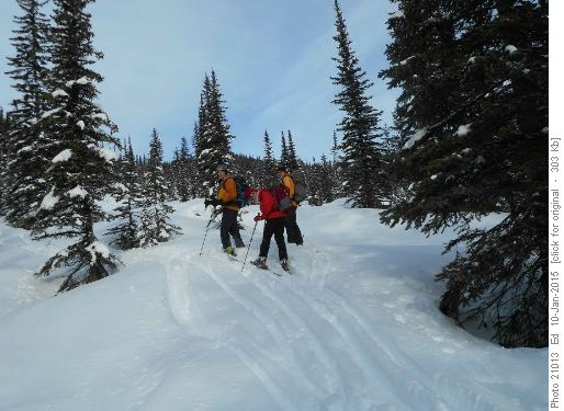 Leaving the broken black prince trail to struggle through the forest