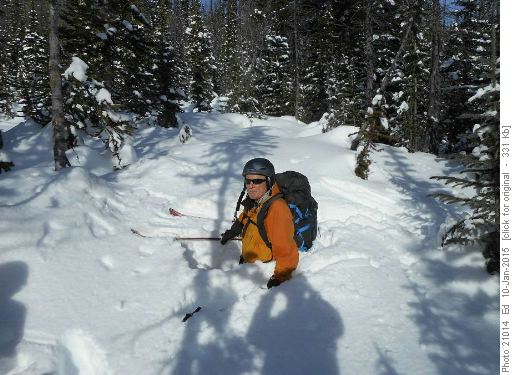 The hobbits in these woods can be enticed to sojourn forth with good wine and cheese