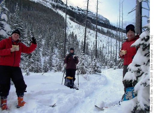 Stanley Glacier Valley