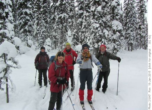 {444 nancy Earle}, {206 Barb Mitchell}, {198 Madeleine Mangels}, {826 John Katay} & {1789 Warren Richards} on Telemark trail