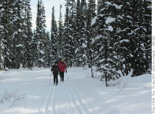 {444 Nancy Earle} & {198 Madeleine Mangels} on Lower Telemark Trail