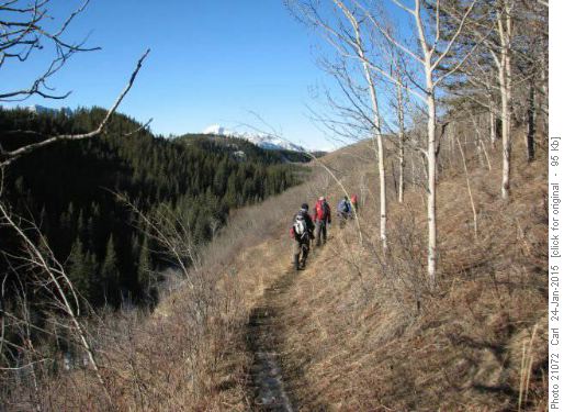 Along the Lesueur Creek valley