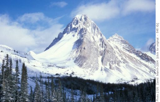 Mt Birdwood in Winter