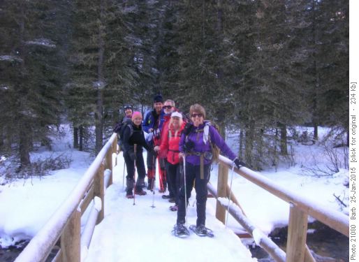 Snowshoe Group