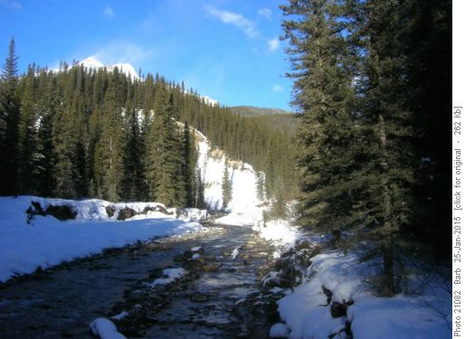 40 Mile Creek
