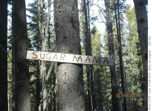 Unoficial trail-Sugar Mama