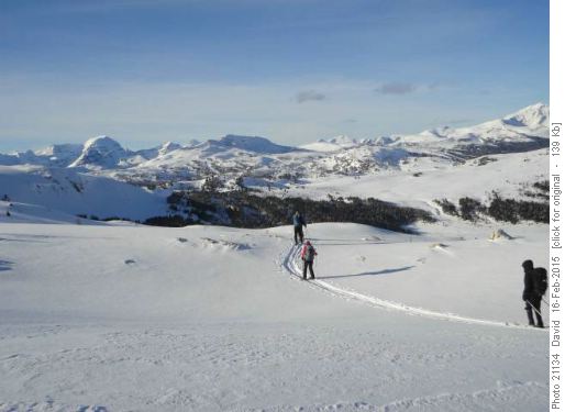 Return from Sunshine Meadows