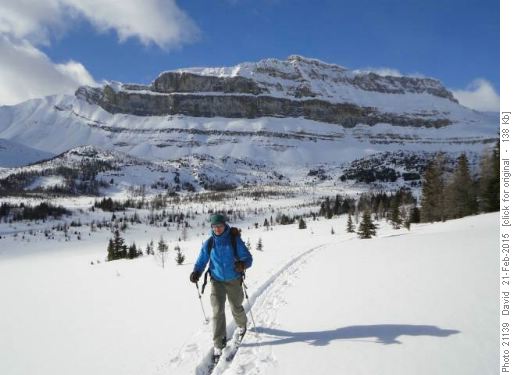 {1419 b to} in meadows below Redoubt Lake
