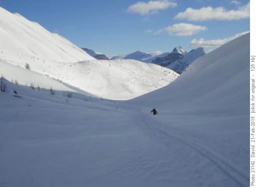 Skier near top of drainage between Heather Ridge and Mt Brachiopod