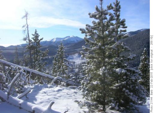 Moose Mountain