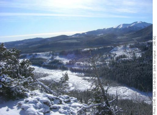 Deer Ridge View