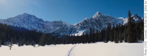 Upon completion of the ascent, a spacious alpine meadow with an astounding view of Storm Mountain opens up!