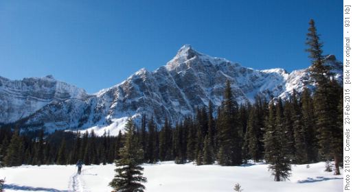 Storm Mountain's eastern face. The summit is at 3,161m. Twin Lakes lie more than 1km below the summit!