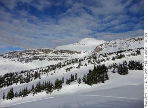 View from Pig Bowl