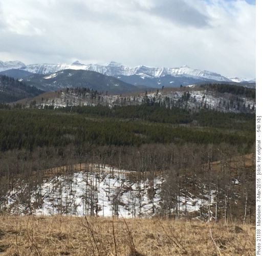 Front Ranges from High Noon Hills