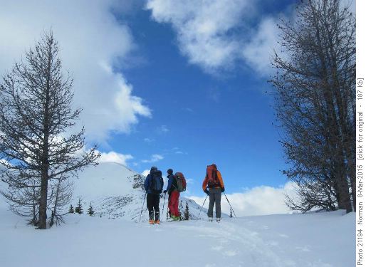 Looking for the best line