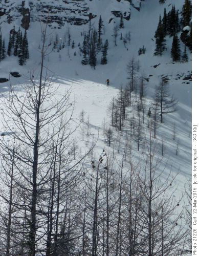 "Extreme" skier shussing a gully off the Ramparts