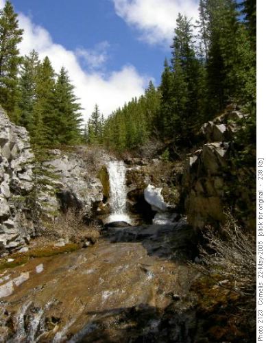 Waterfall McDougall Ck