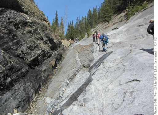 Hiking up the grey carbonates of the Palliser formation; black shales of the Exshaw formation to the left